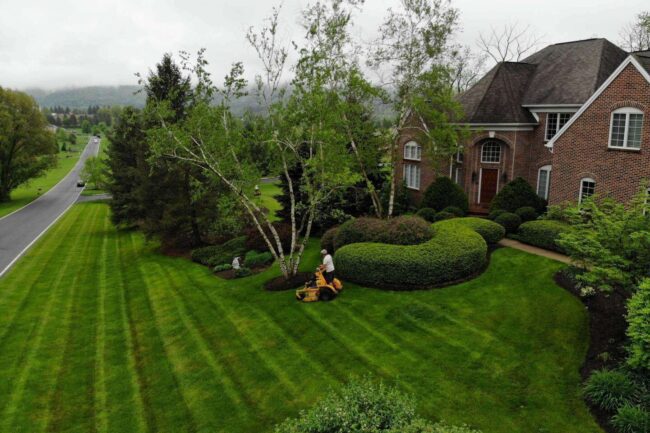 An aerial view of a house