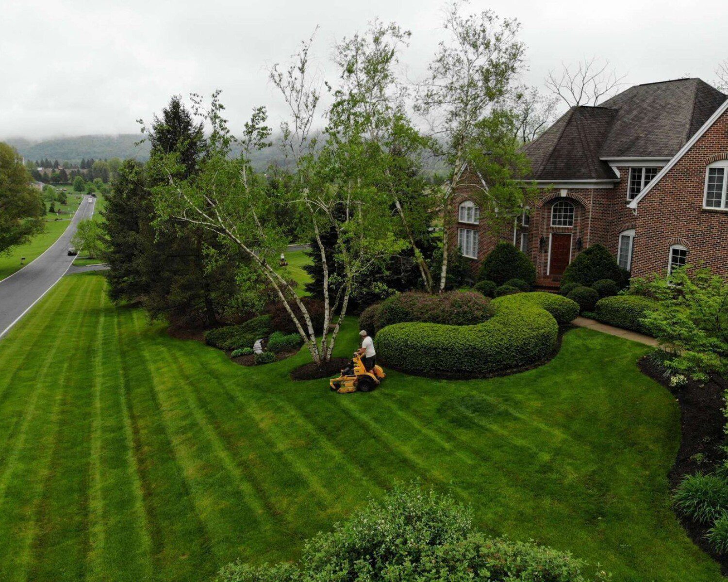 A newly installed front yard with multiple trees